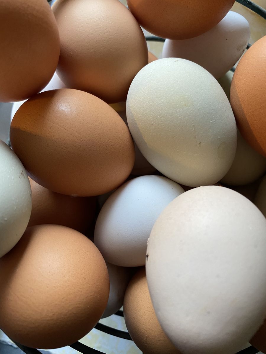Farm Fresh Eggs $3.50 A Dozen