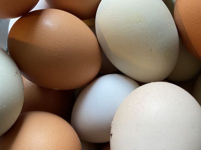 Farm Fresh Eggs $3.50 A Dozen