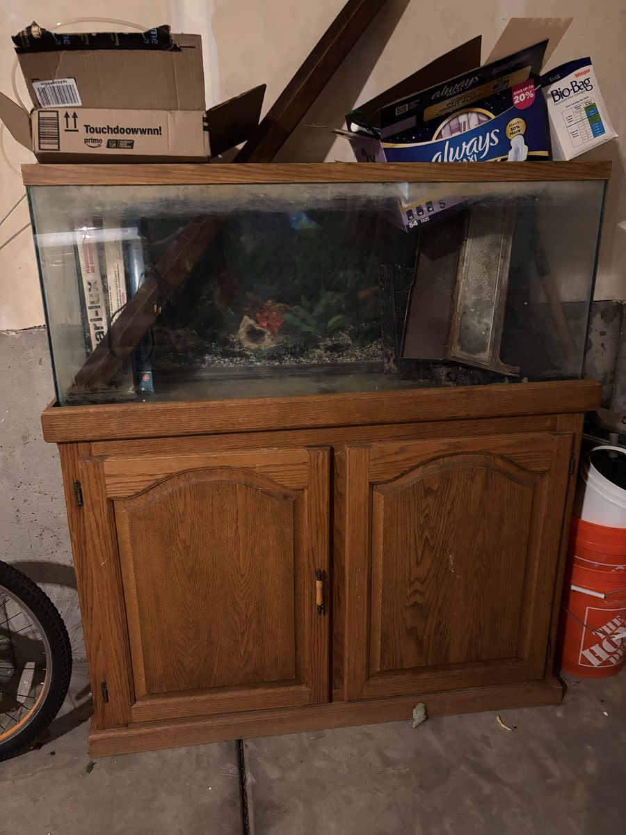 Fish Tank and set up