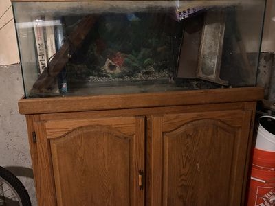 Fish Tank and set up