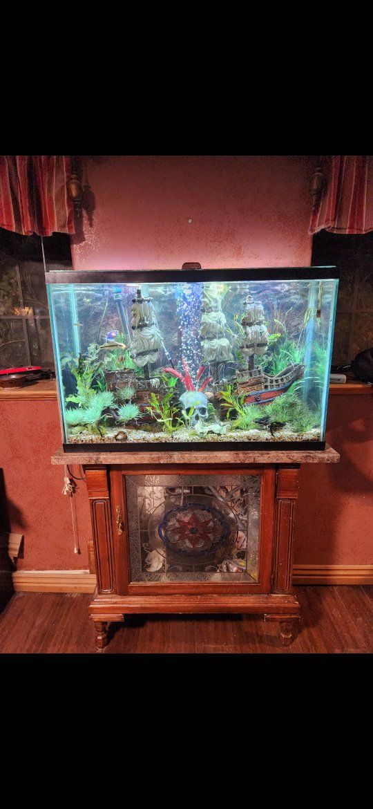 55 gal fish tank and fish