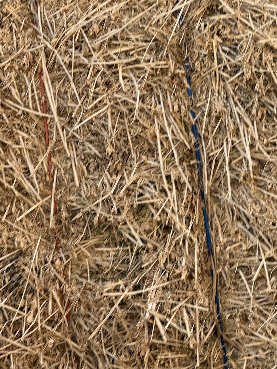Main image 2