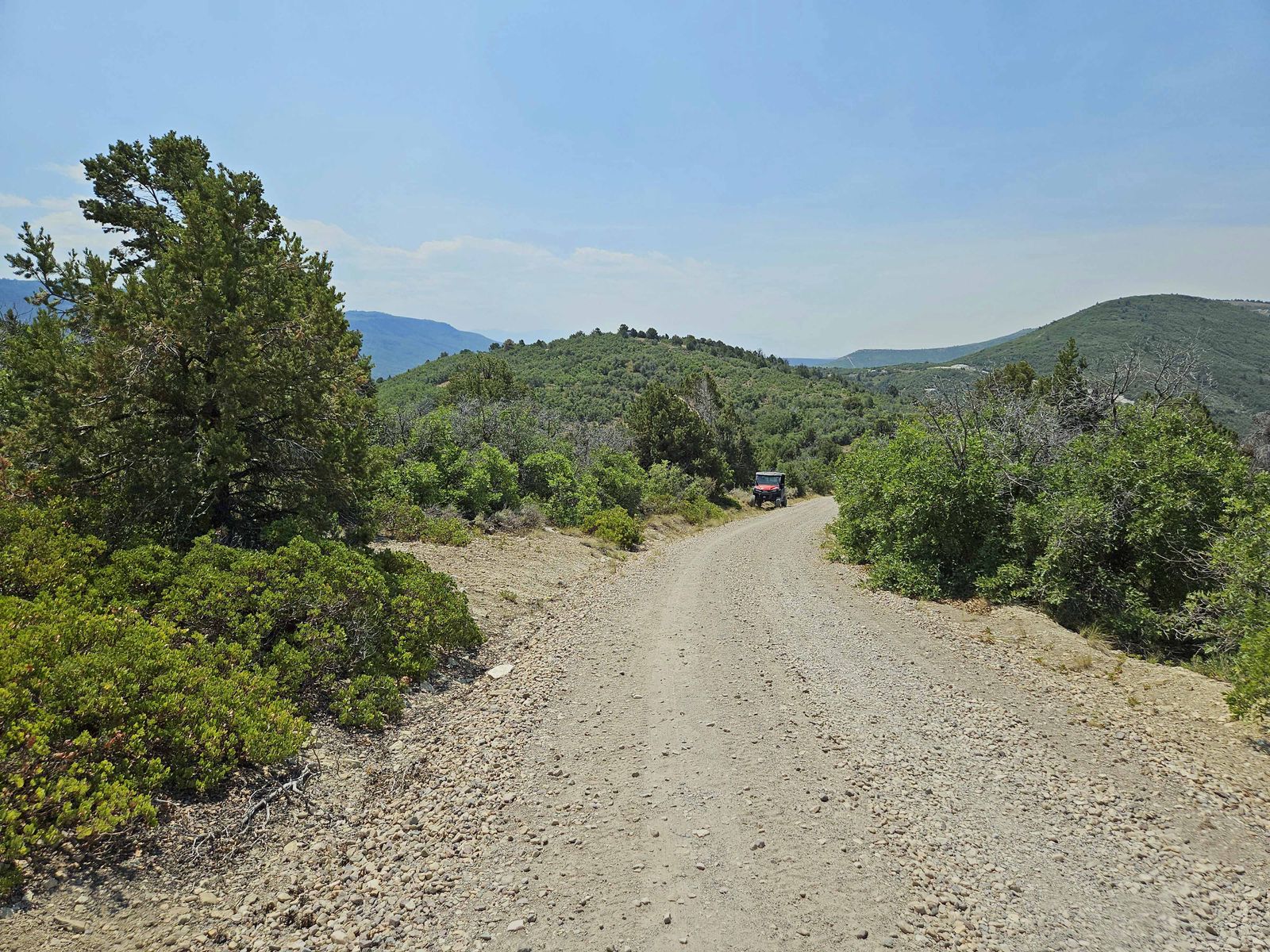 Main image 12