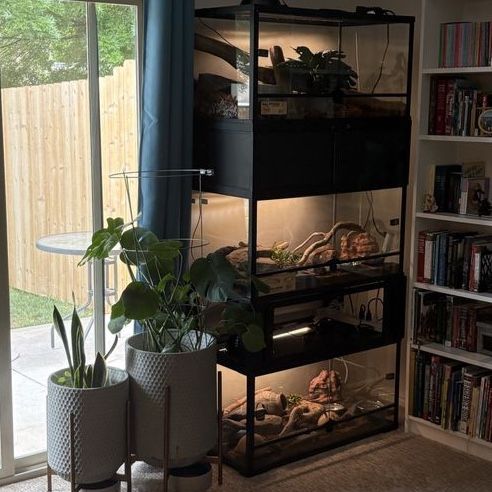 Open to Offers. 3x enclosure ball Python x2 leos