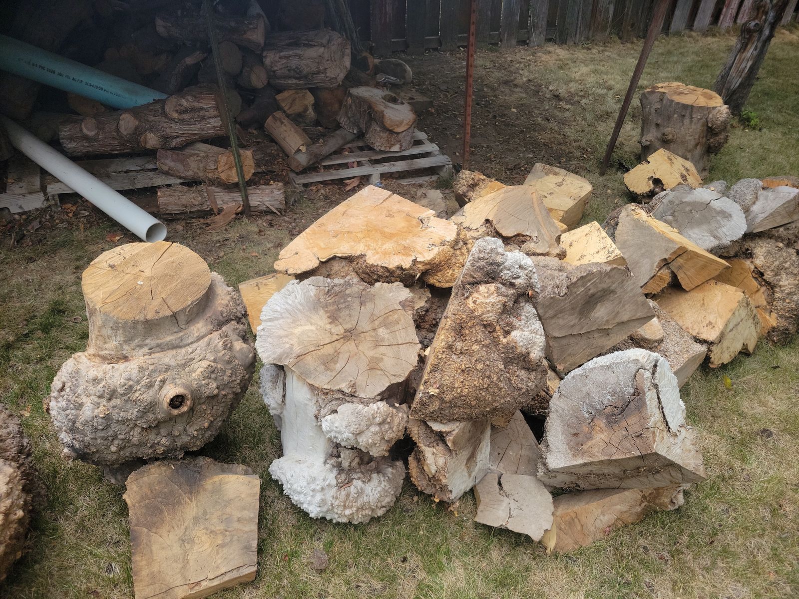 Main image 6