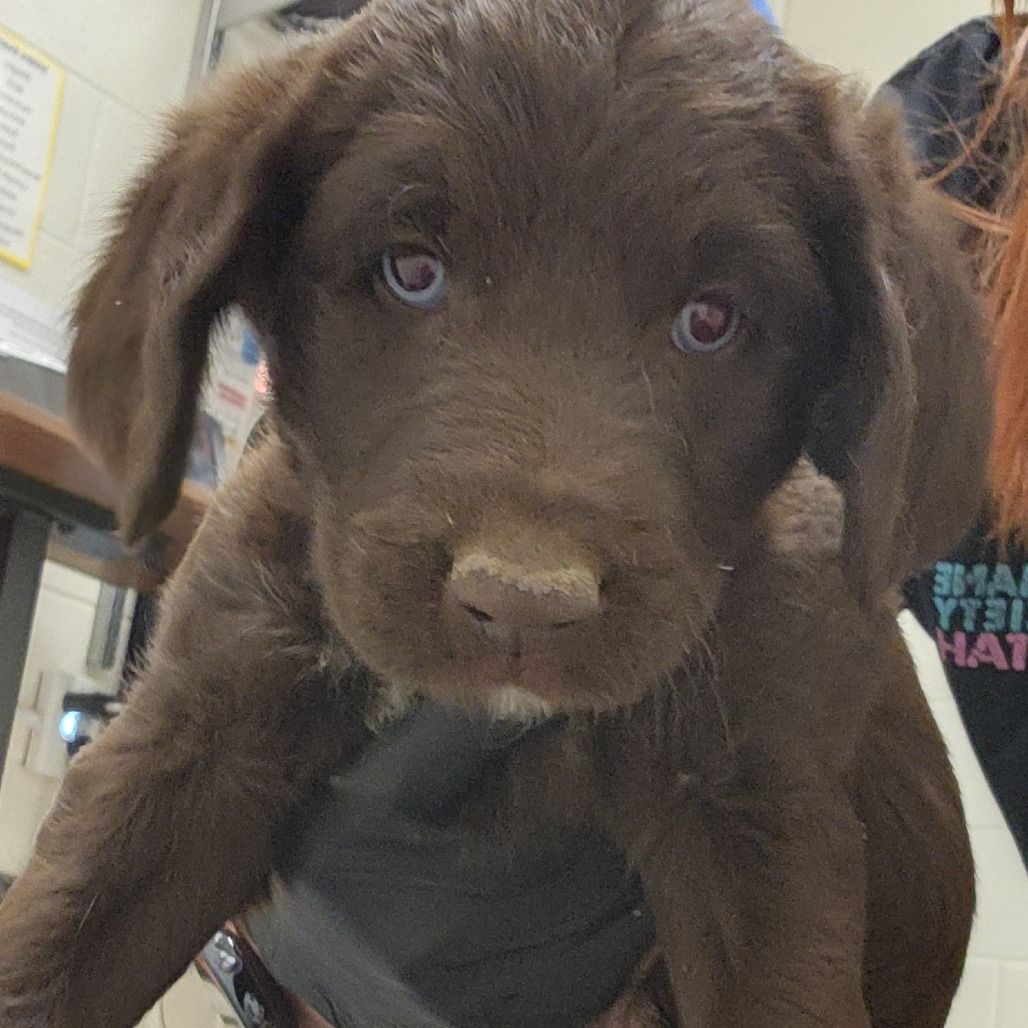 Hello my name is Cyclops