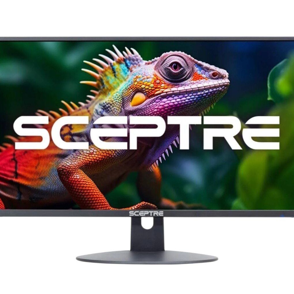 Sceptre E248W-19203R 24 inch Ultra Thin 75Hz 1080p