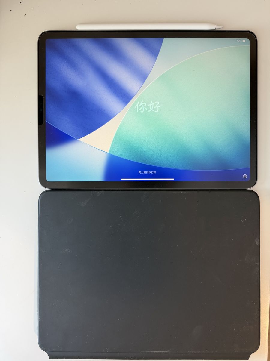 Apple iPad Pro M2 11inch 256gb