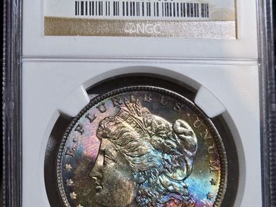 1886 Morgan Silver Dollar NGC MS64 STAR Textile Rainbow Neon Monster Toned Coin