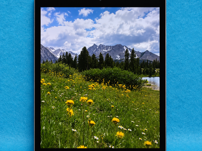 Apple iPad 6th Gen 32Gb 9.7"