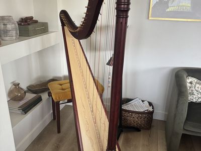 Salvi Ana Deluxe Lever Harp - Mahogany with Gold Levers