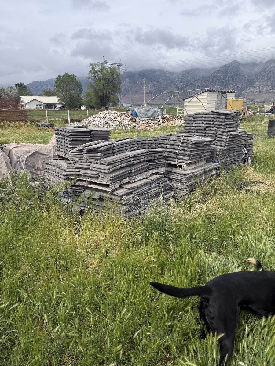 Roof tiles (free)