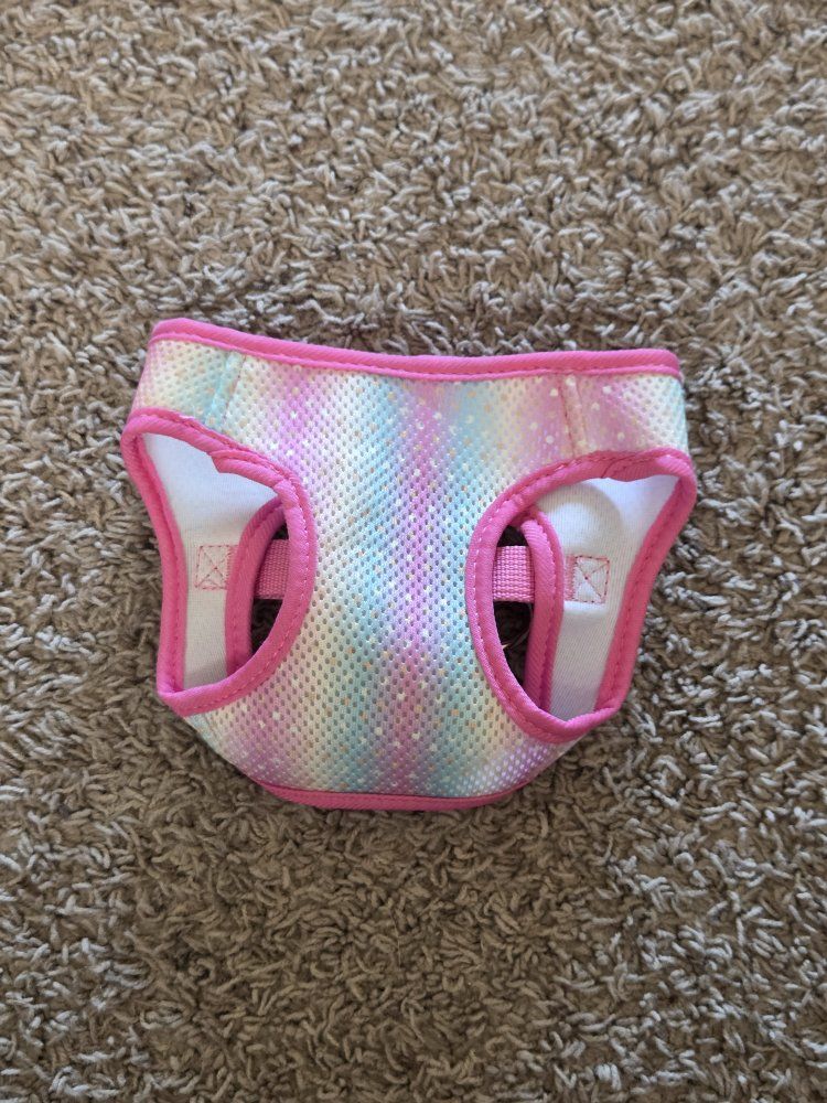 Small rainbow colored dog harness