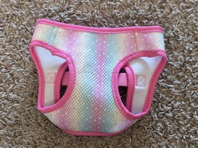 Small rainbow colored dog harness