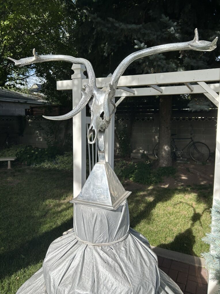 Skull And Antlers Display