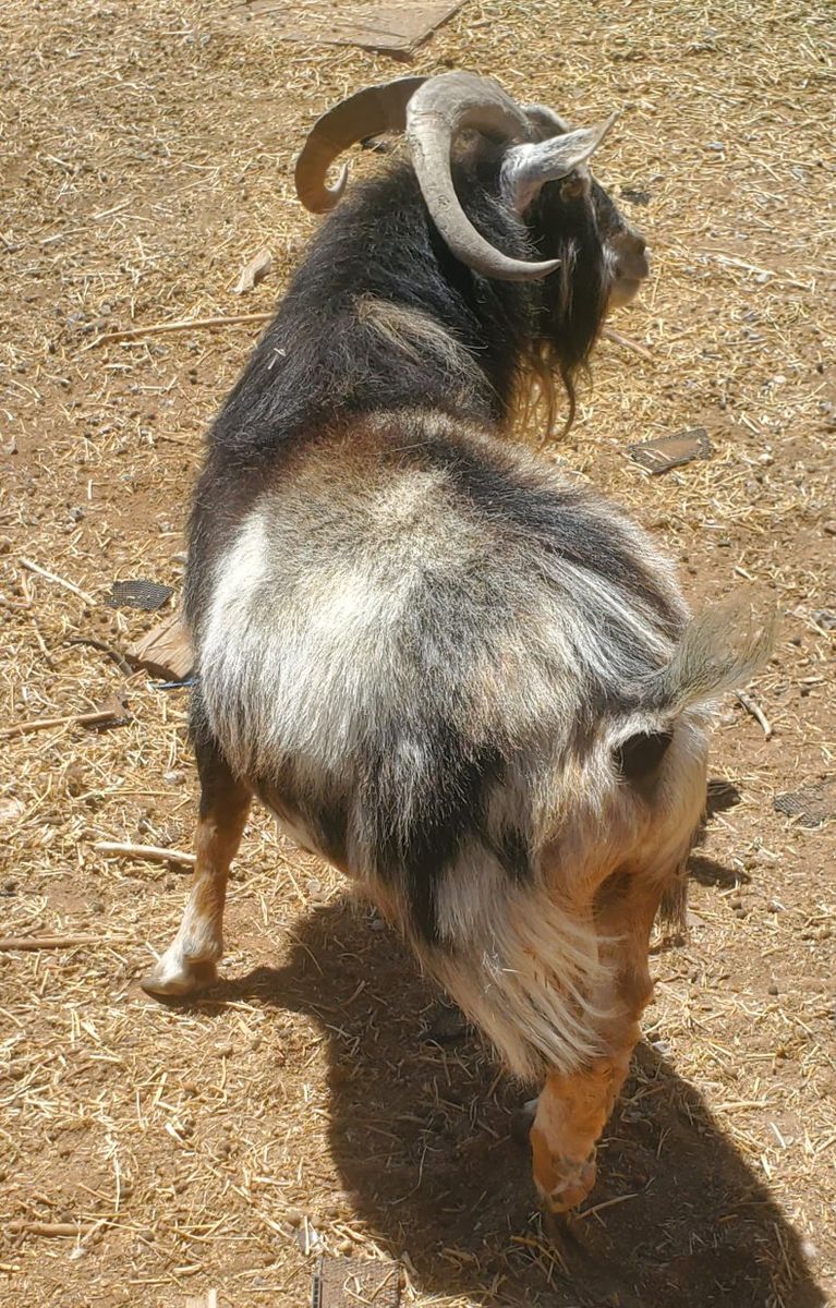 Main image 2
