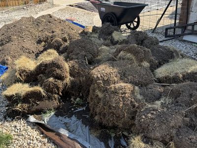 **FREE** Dirt, Sod, and Sand
