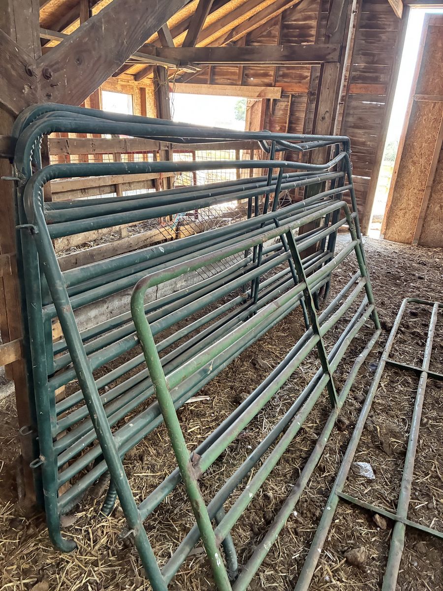 12’ Panels