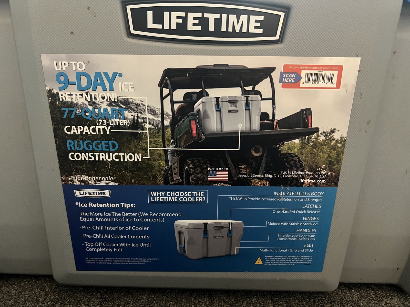 Cooler (Lifetime 77 Quart)