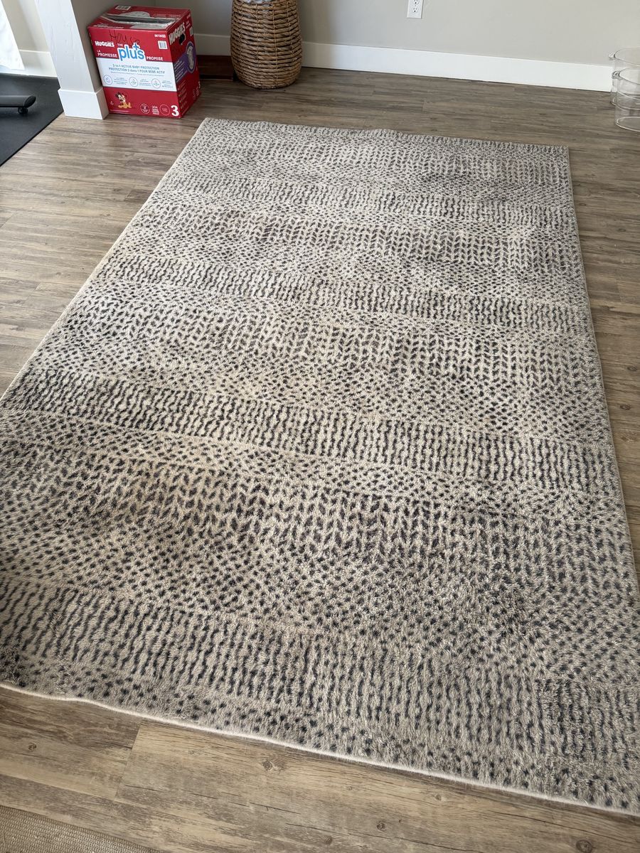 Plush Area Rug – Neutral Cream/Gray