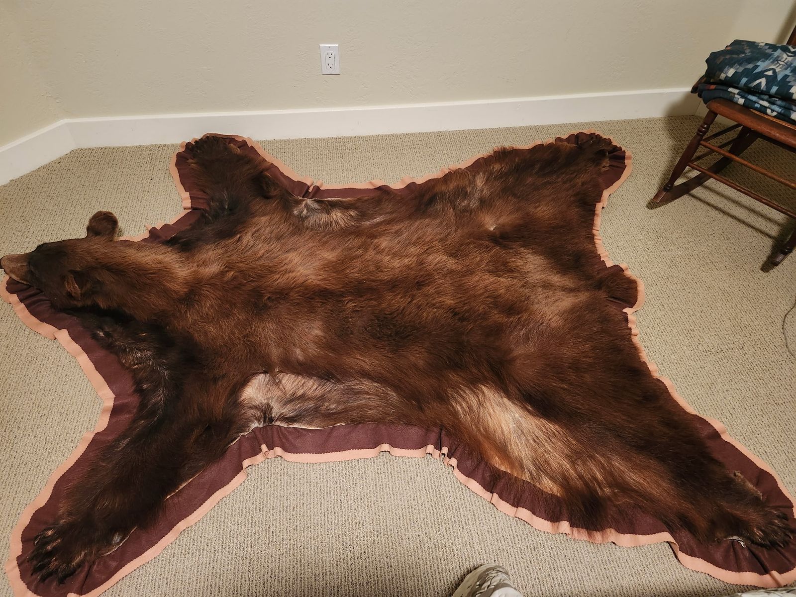 Bear Rug