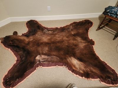 Bear Rug