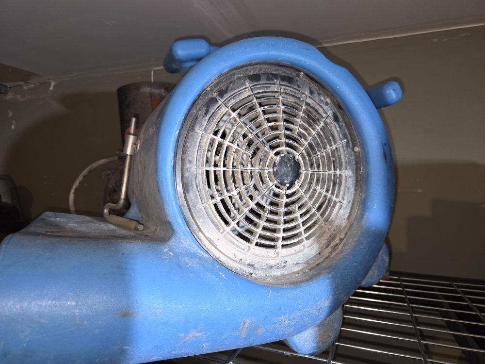 Industrial Air Mover Floor Dryer Blower Fan - Blue, Heavy Duty