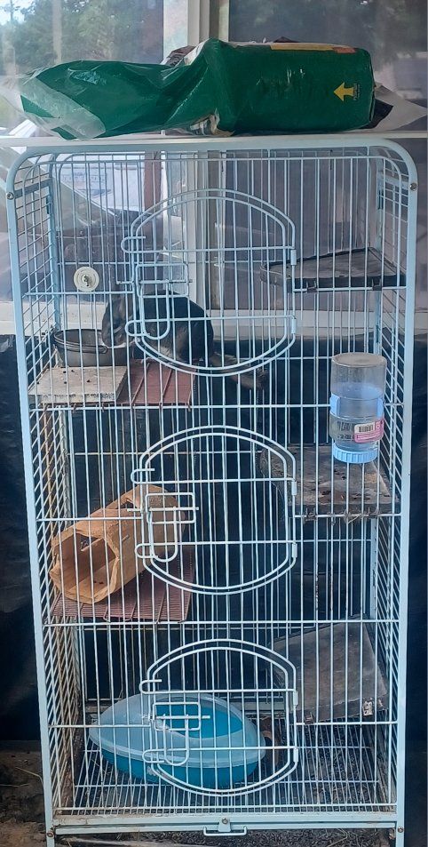 cage