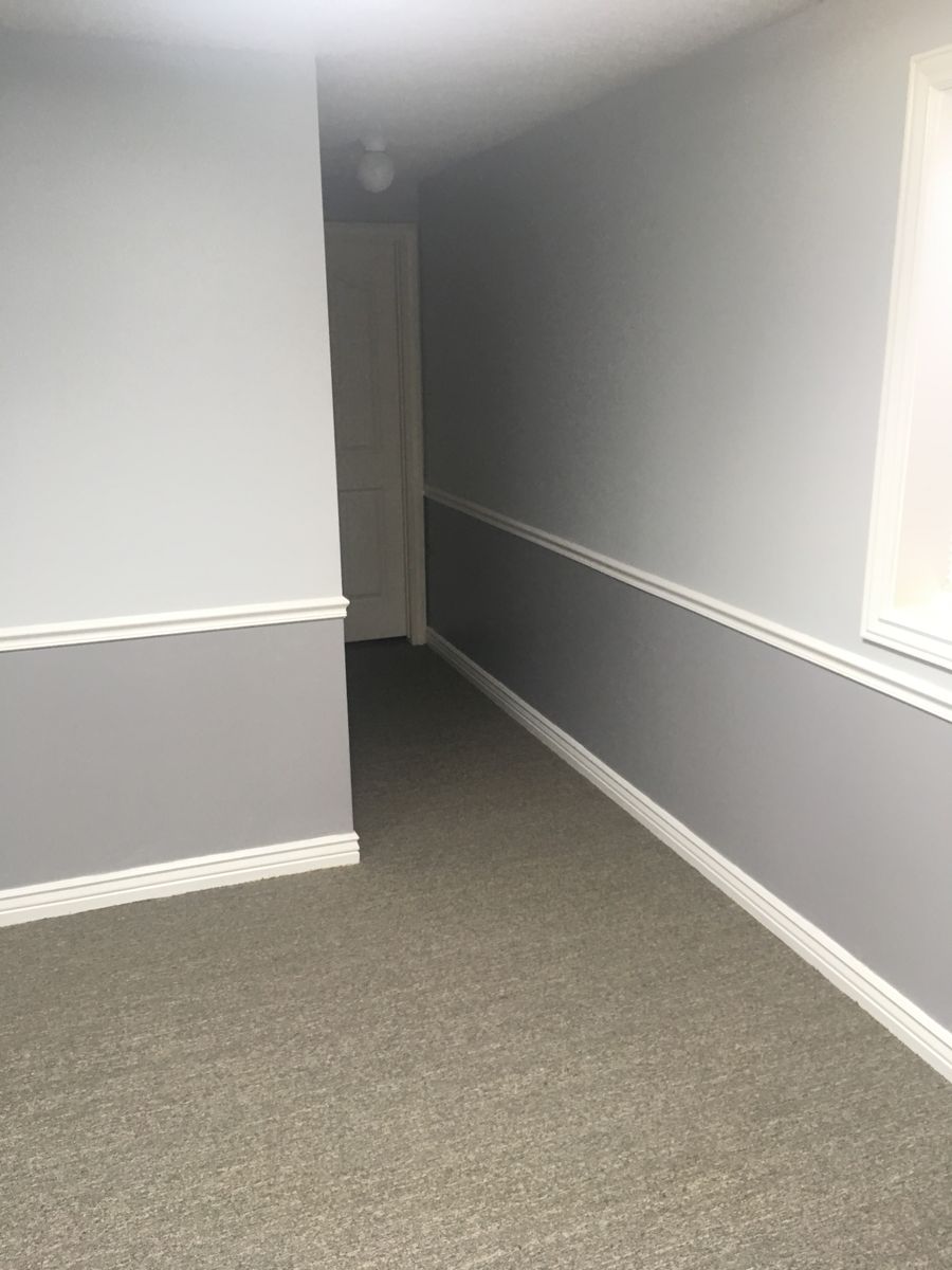 Main image 5