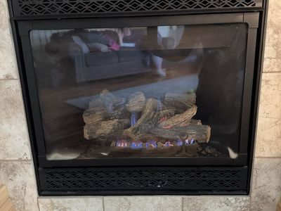 Gas Fireplace Insert with Faux Log Set and Glass Door