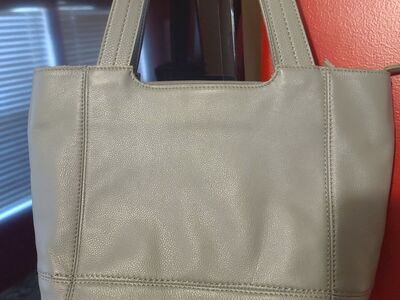 The Sak De Young Tote