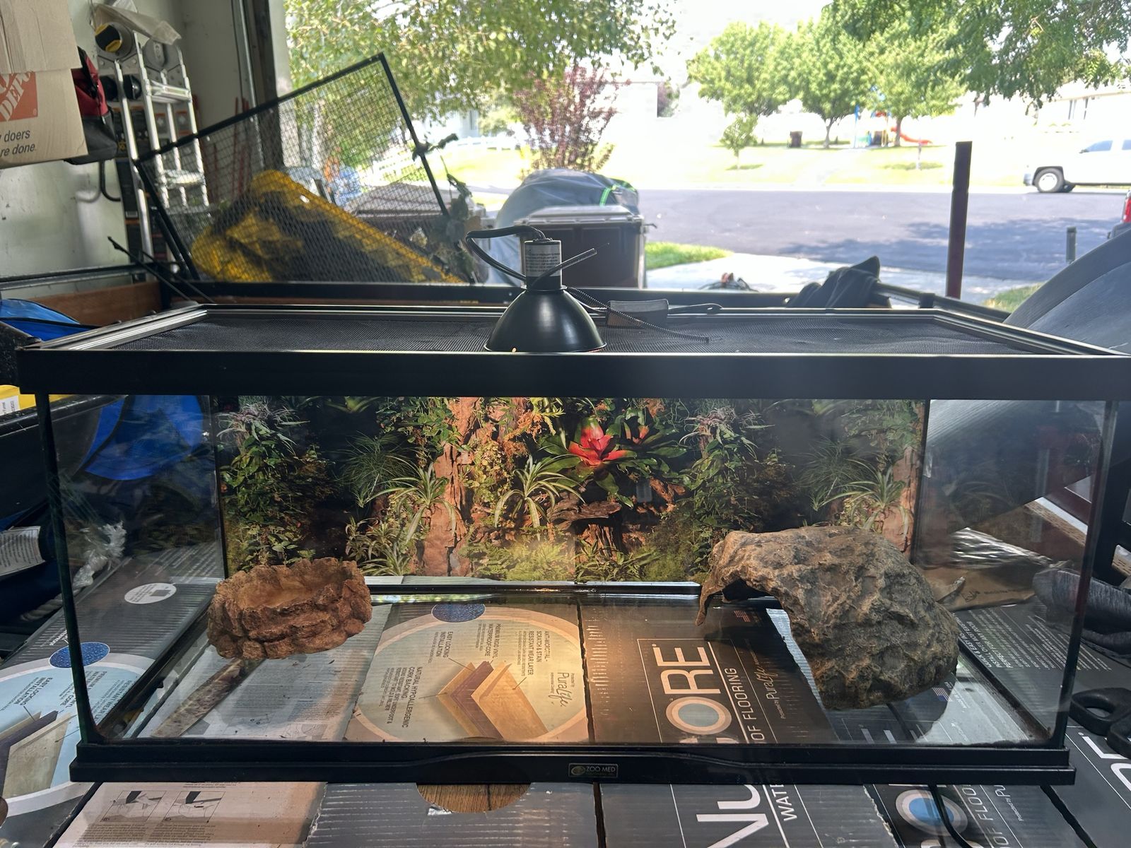 Reptile set up