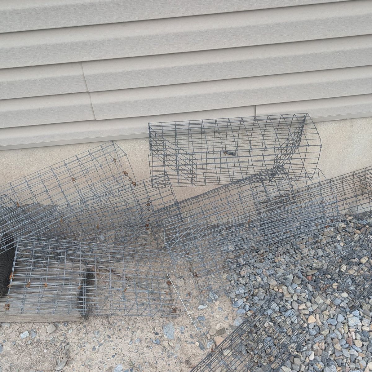 Live traps