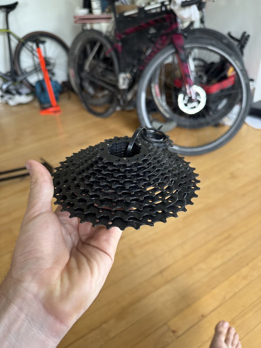 12 speed cassette