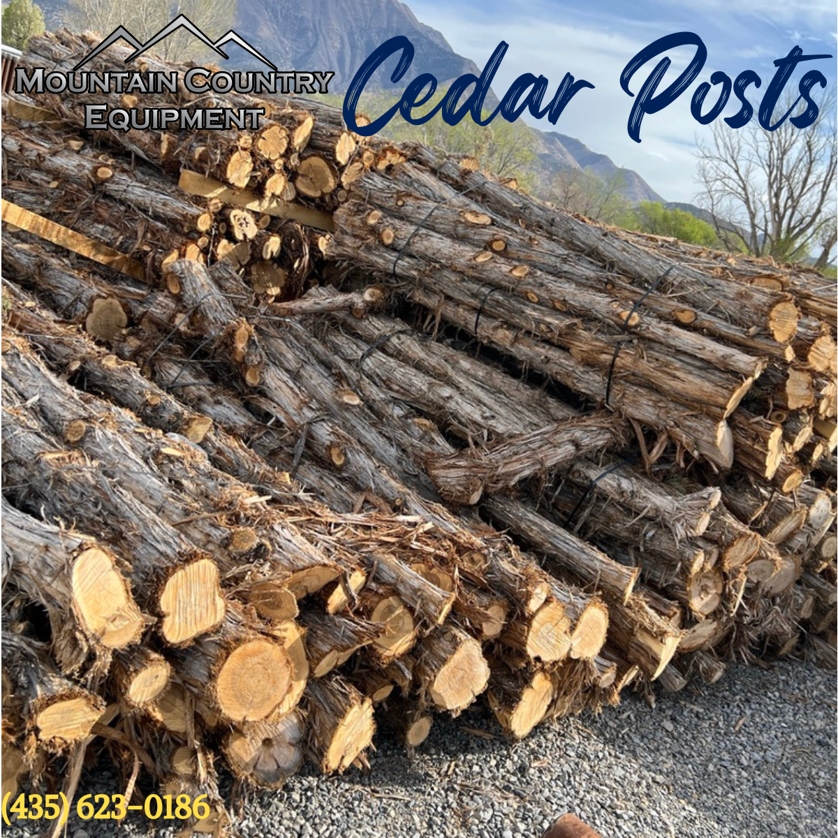 Cedar Posts