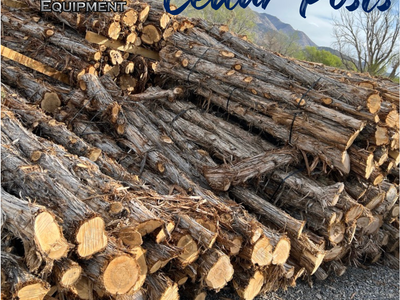 Cedar Posts