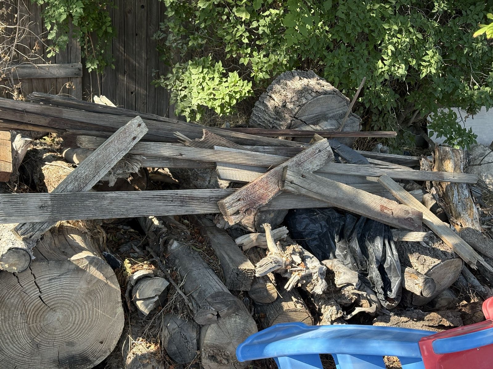 Firewood FREE