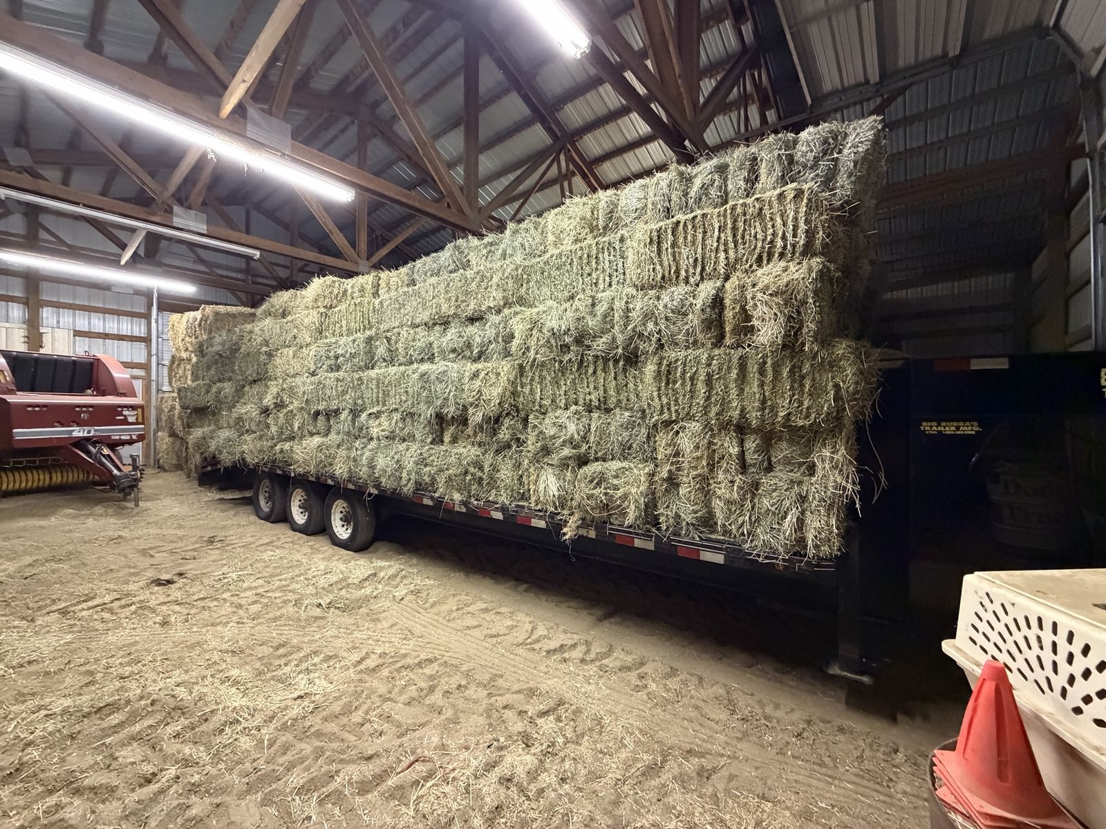 Alfalfa/Grass Hay