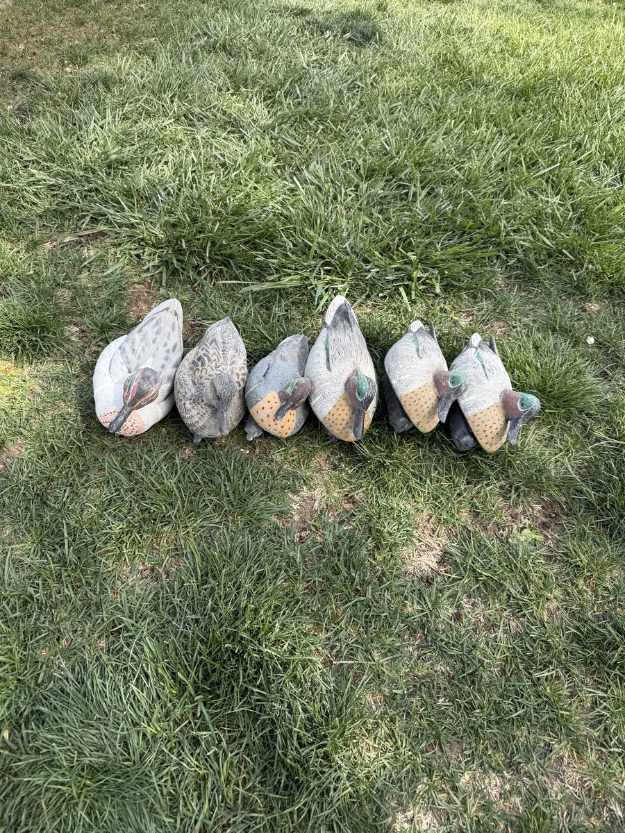 Teal Decoys