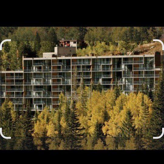 Iron Blosam,  week 32 for rent. August 8-15.