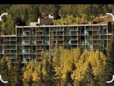 Iron Blosam, week 32 for rent. August 8-15.