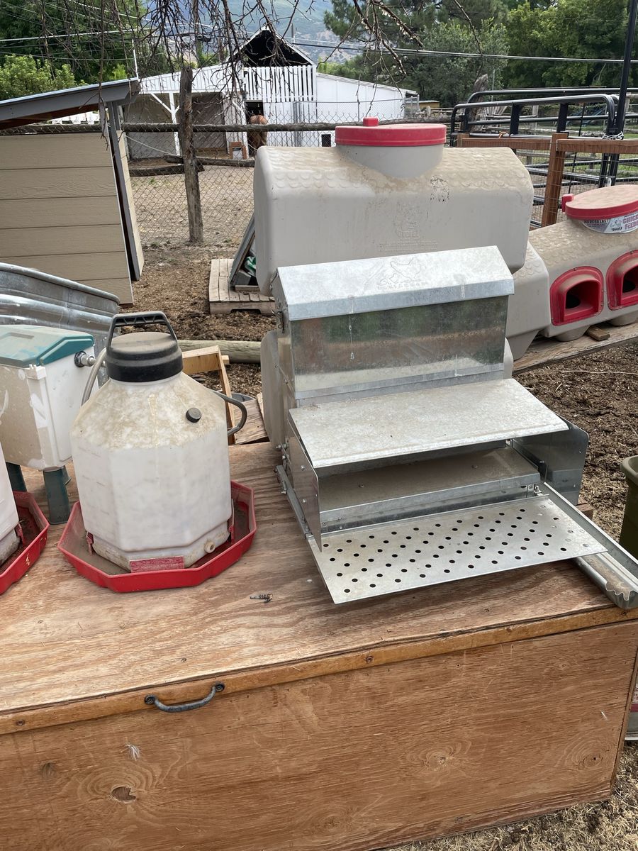 Assorted Treadle Feeders, Poultry Supplies, Feeders, Waterers, and Wire Pen Panels Lot