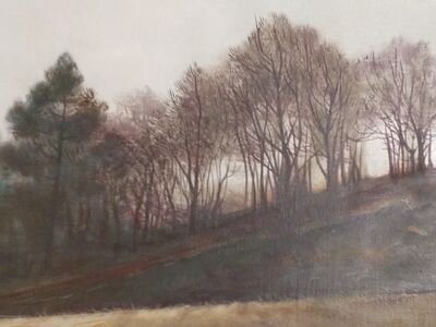 Rare David E. Fern Painting in the US