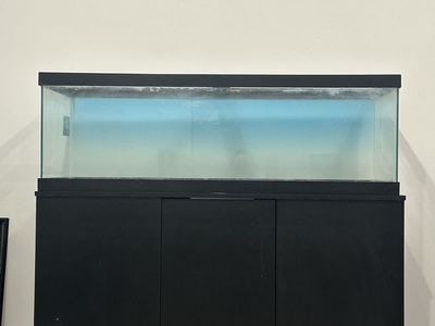 75 gallon aquarium with stand