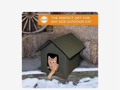 Heated pet house