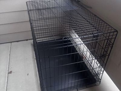Large Dog Crate Kennel