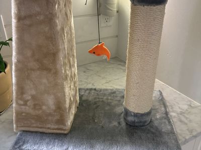 Cat scratching post
