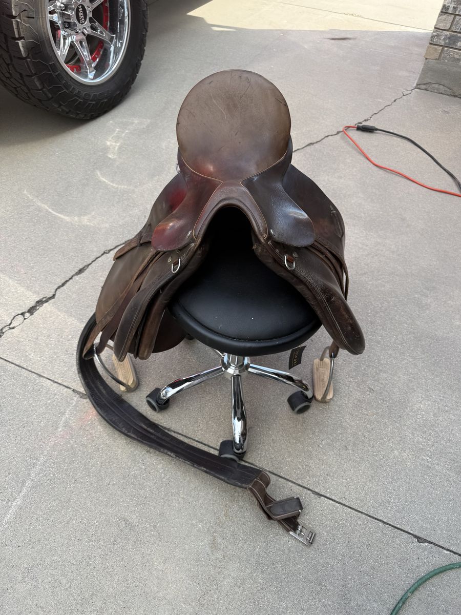 2 horse saddles