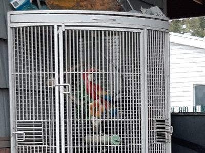 corner cage