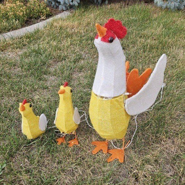 Light-Up Chicken Family Outdoor Yard Decor / Christmas lights